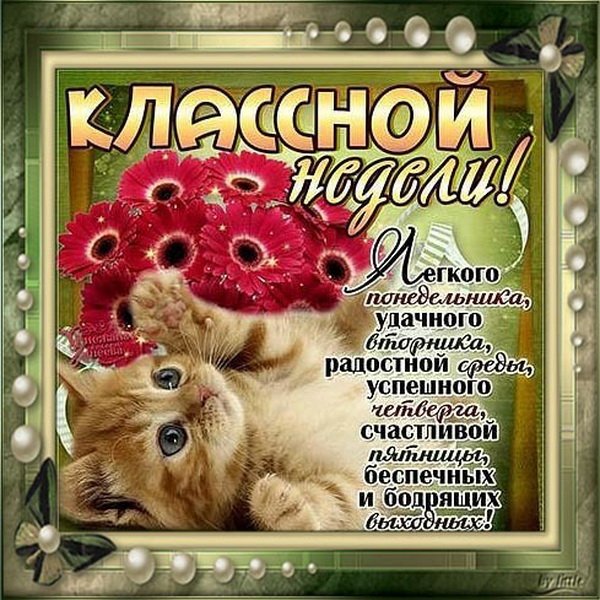 Поздравление с понедельником
