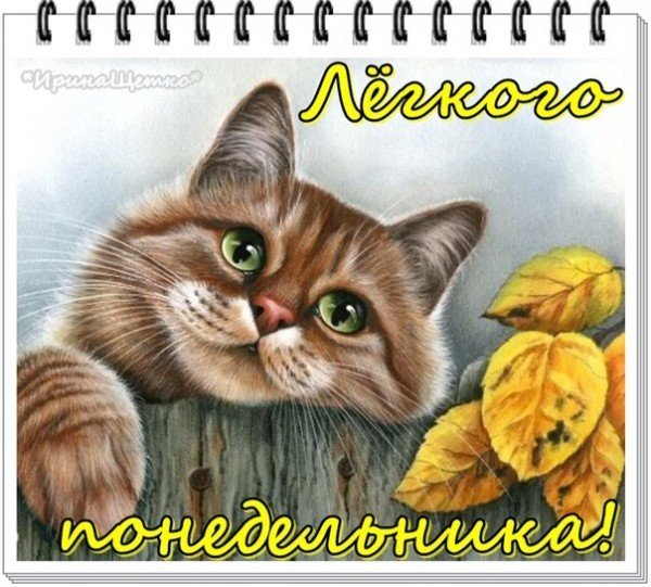 Открытки с понедельником