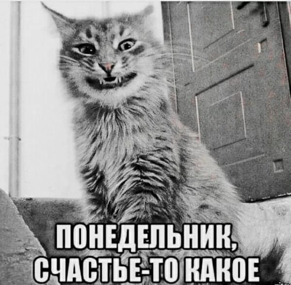 Понедельник счастье