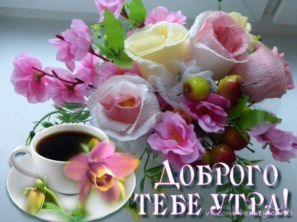 Доброе утро хорошего дня цветы