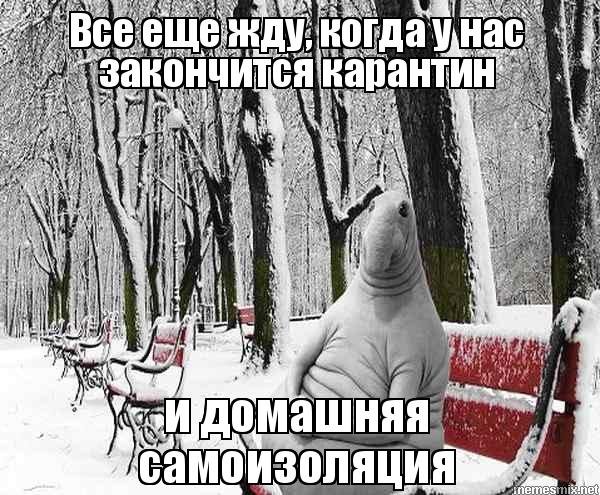 Ждун зимой