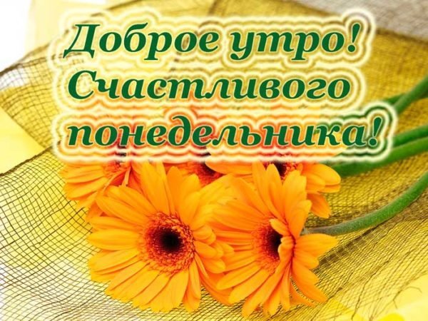 Счастливого утра понедельника