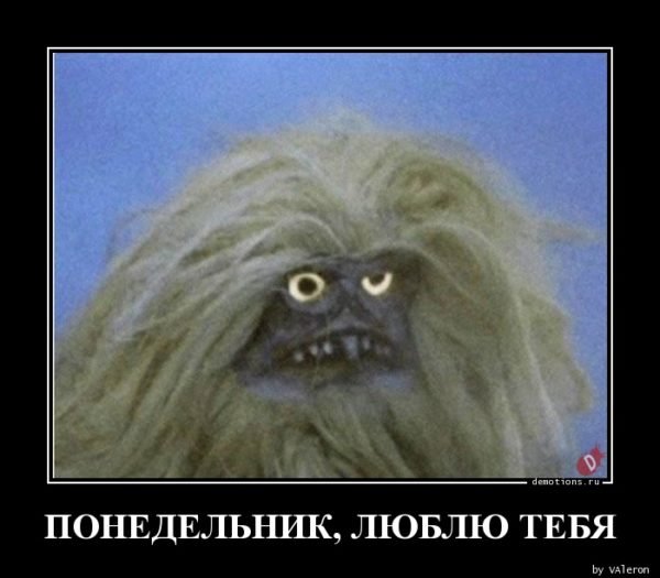 Люблю понедельник