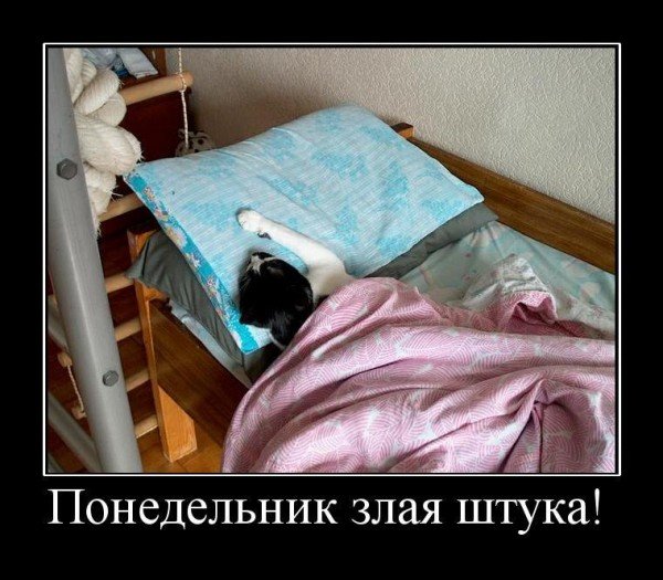 Злой понедельник