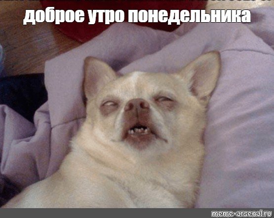 Доброе утро Мем