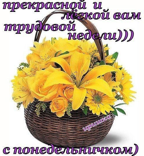 Прекрасной недели