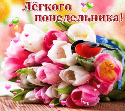 Всем легкого понедельника