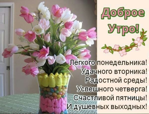 Доброго весеннего понедельника