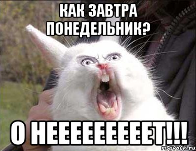 Завтра понедельник