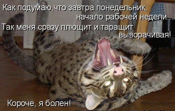 Завтра понедельник