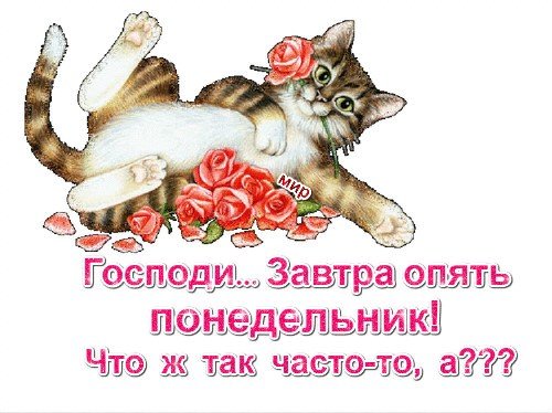 Завтра понедельник