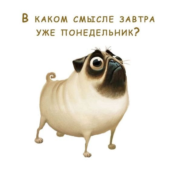 Завтра понедельник