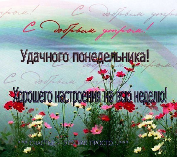 Доброго понедельника и удачной