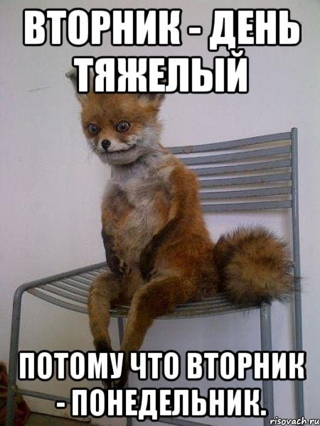 Вторник день тяжелый