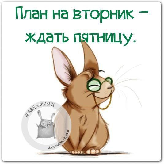 Шутки про вторник