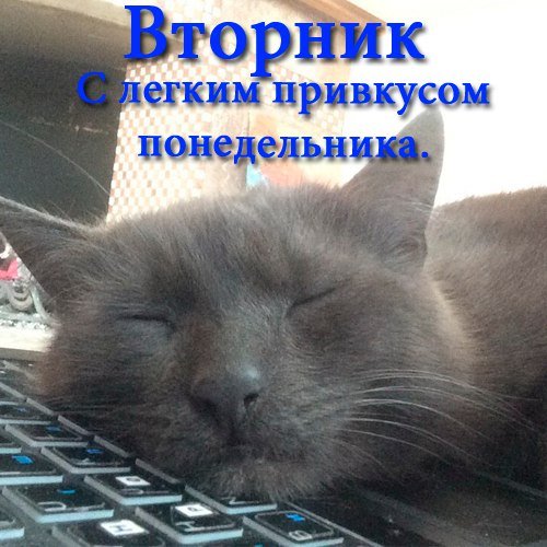 Вторник лучше понедельника