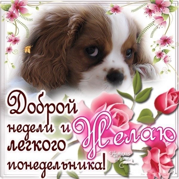 Открытки с понедельником