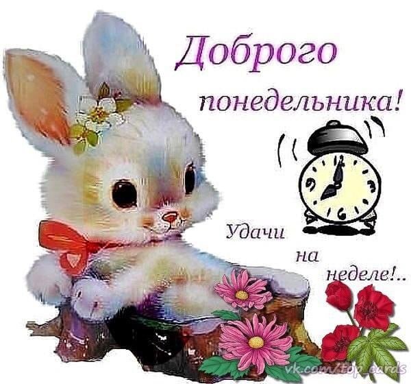 Доброго понедельника