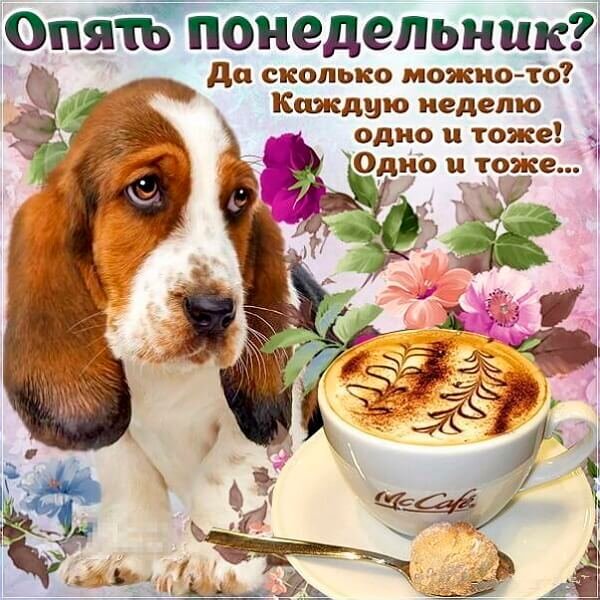 Открытки с понедельником