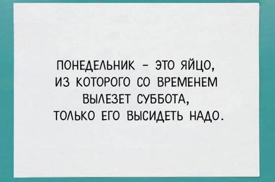 Понедельник шутки про понедельник