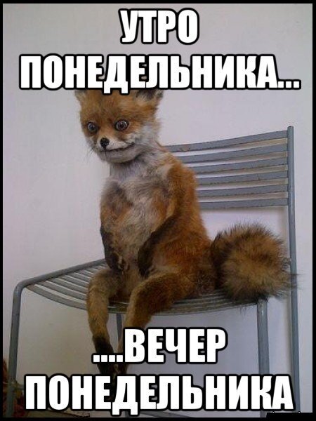 Вечер понедельника