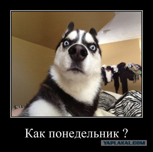 Как понедельник