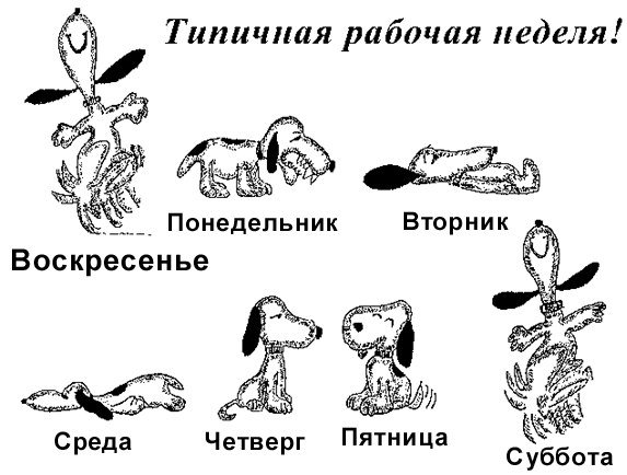 Рабочая неделя картинки
