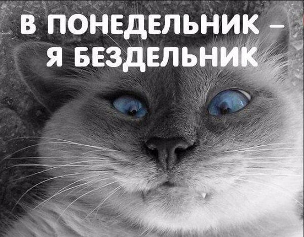 Понедельник приколы
