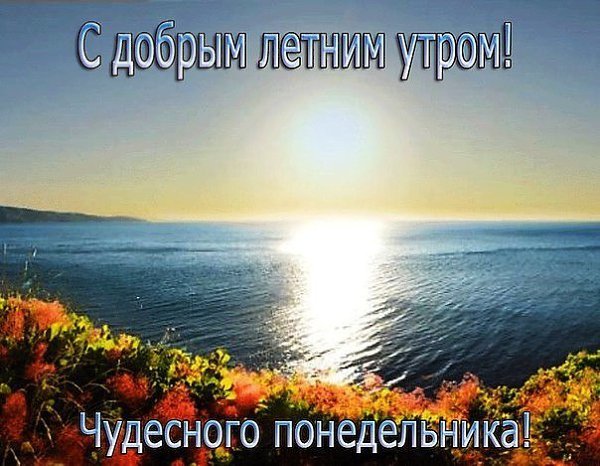Доброе летнее утро понедельника