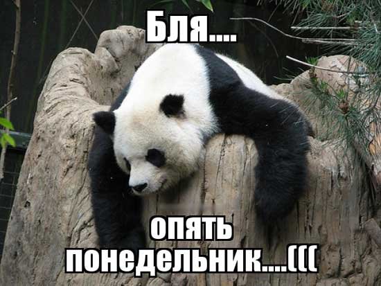 Опять понедельник