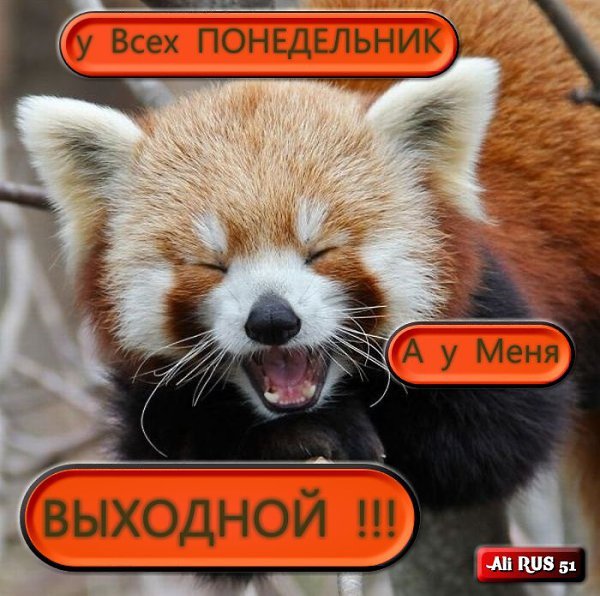 Понедельник выходной