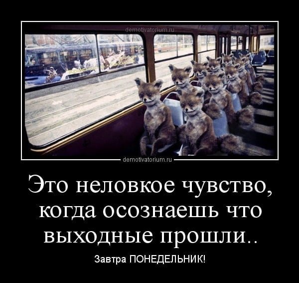 Понедельник демотиваторы