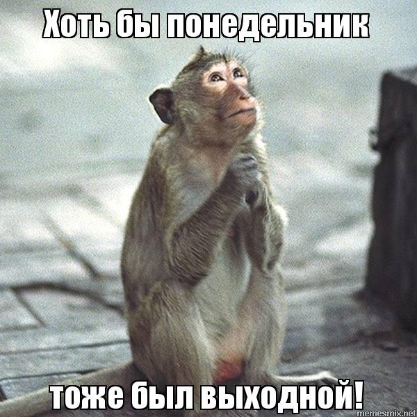 Ура понедельник выходной