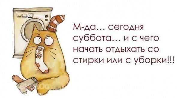 Смешные высказывания про выходные