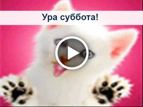 Прикольные картинки ура суббота (32 фото)