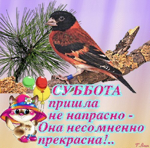 Открытки опять пришла суббота