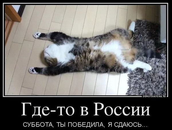 Субботние демотиваторы