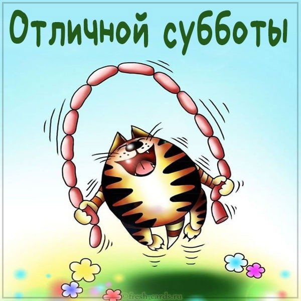 Хорошией субботы приколы