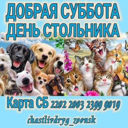 Всероссийская акция добрая суббота большая перемена
