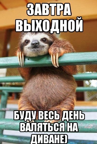 Завтра выходной