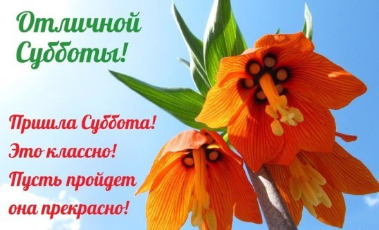 Вот и суббота пришла