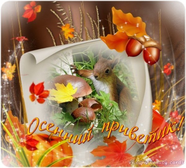 Осенний приветик
