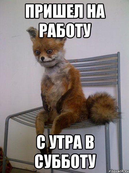 Когда в субботу на работу картинки
