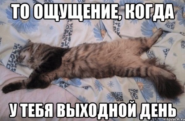 Про выходные смешные
