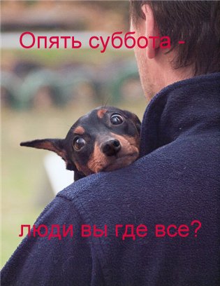 Суббота приколы