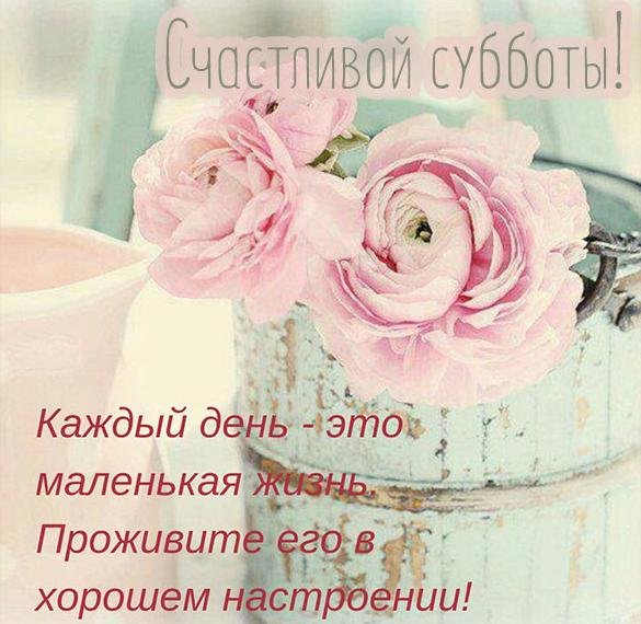 Счастливой и радостной субботы