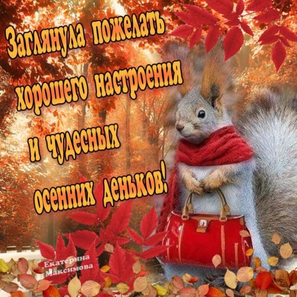 Хорошего осеннего дня