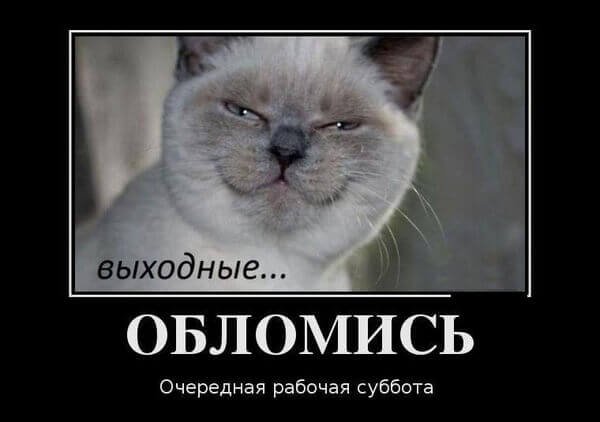 Рабочая суббота