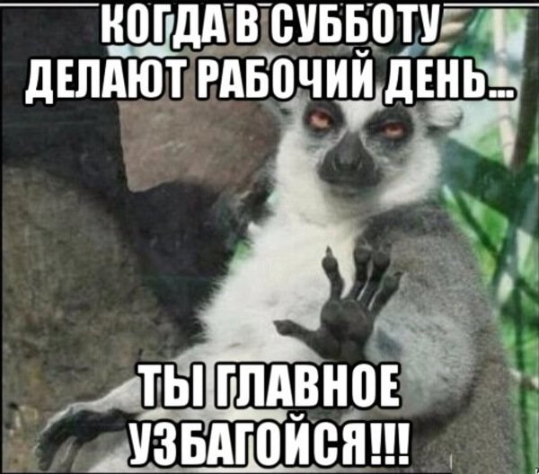 Суббота рабочий день приколы