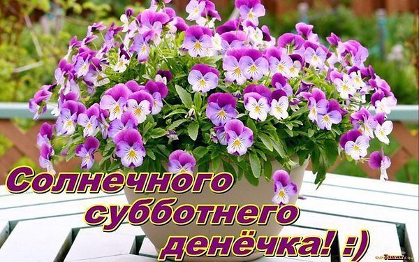Доброго солнечного субботнего дня